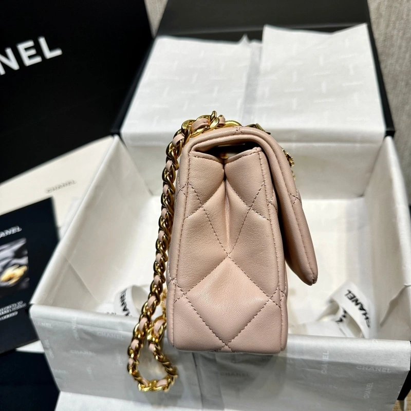 Chanel 19 Bags 4017-0776