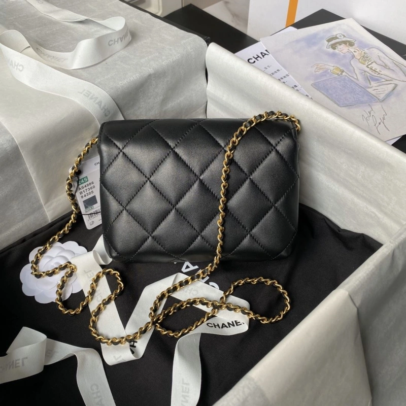 Chanel 19 Bags 4017-0843