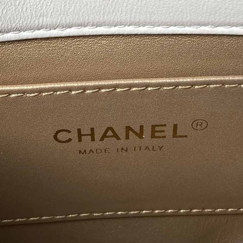 Chanel 19 Bags 4017-0845