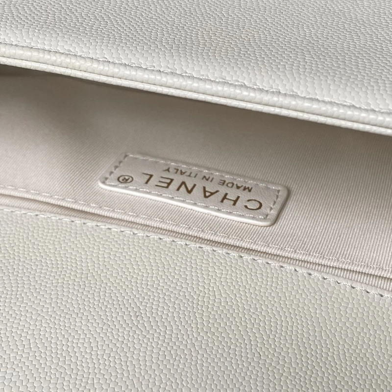 Chanel Leboy Series Bags 4017-0856