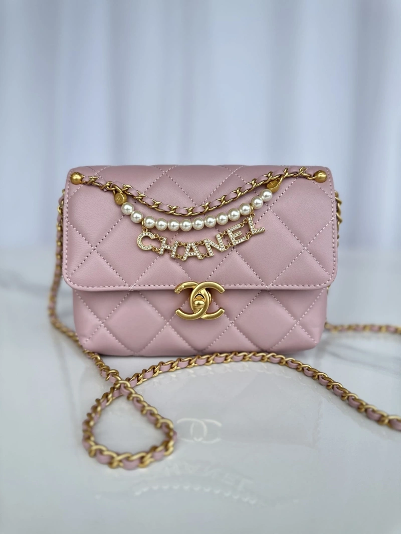 Chanel 19 Bags 4017-0870