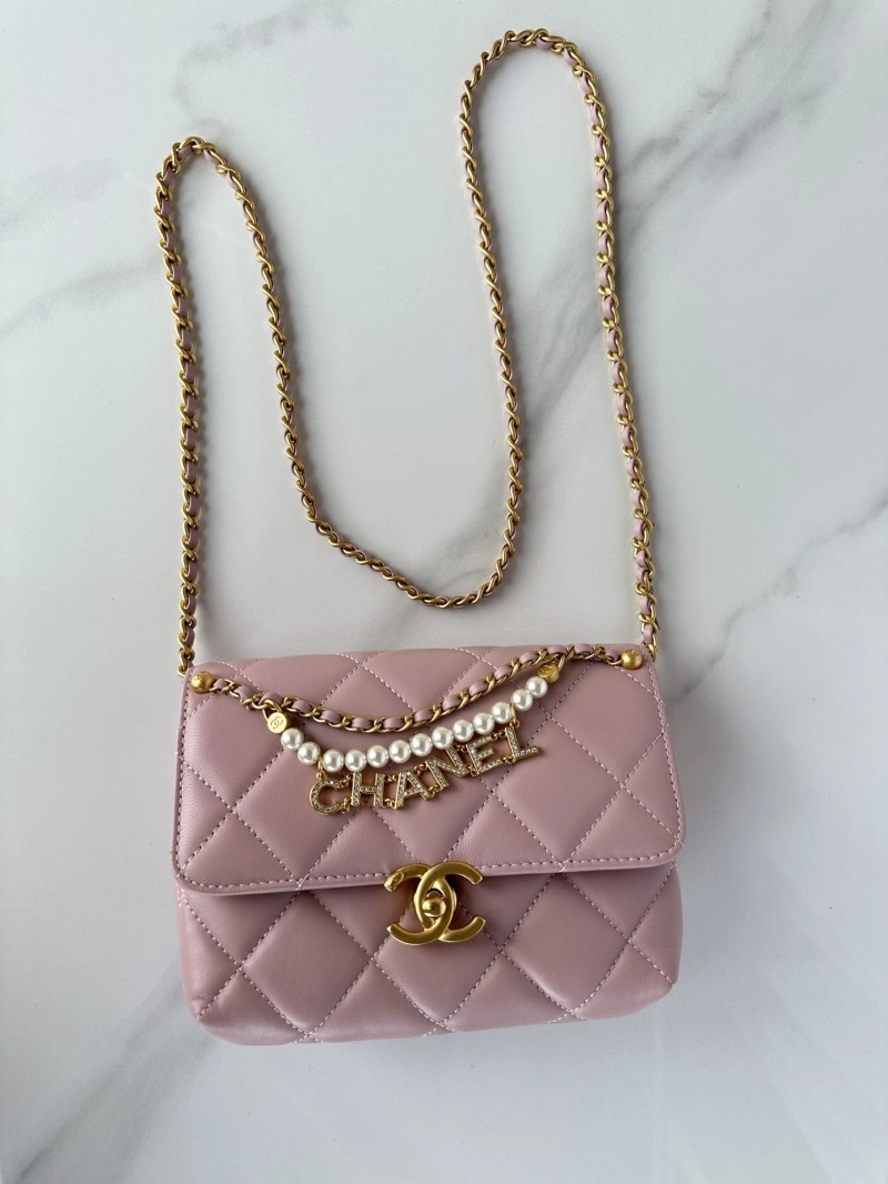 Chanel 19 Bags 4017-0870