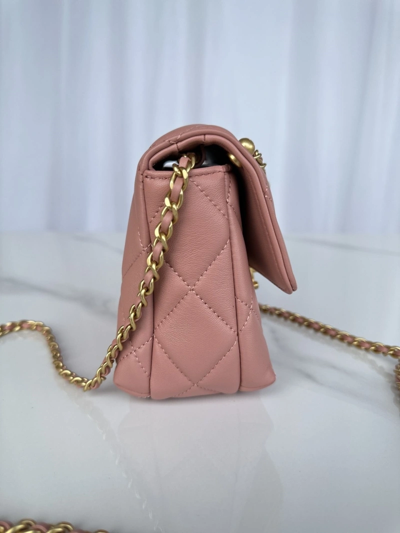 Chanel 19 Bags 4017-0871