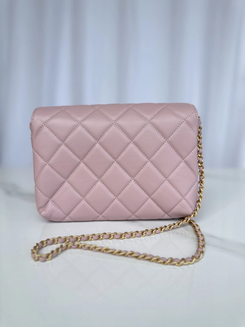 Chanel 19 Bags 4017-0878