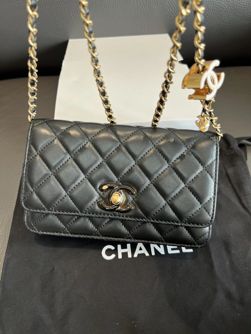 Chanel Satchel Bags 4017-0885