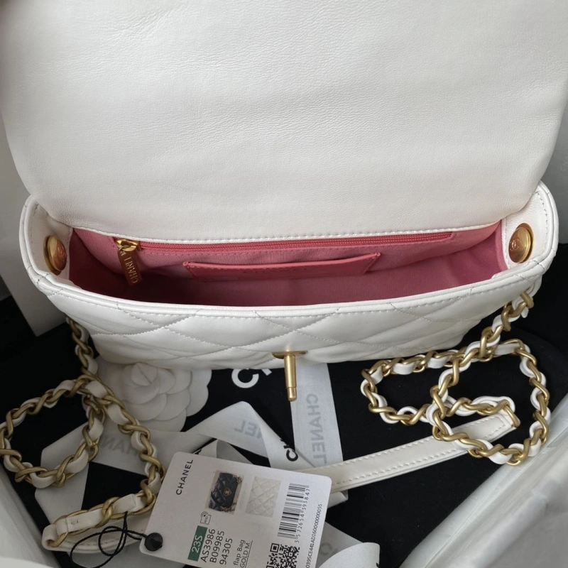 Chanel Satchel Bags 4017-0912