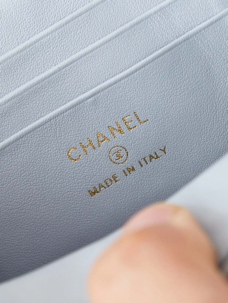 Chanel Cosmetic Bags 4017-0948