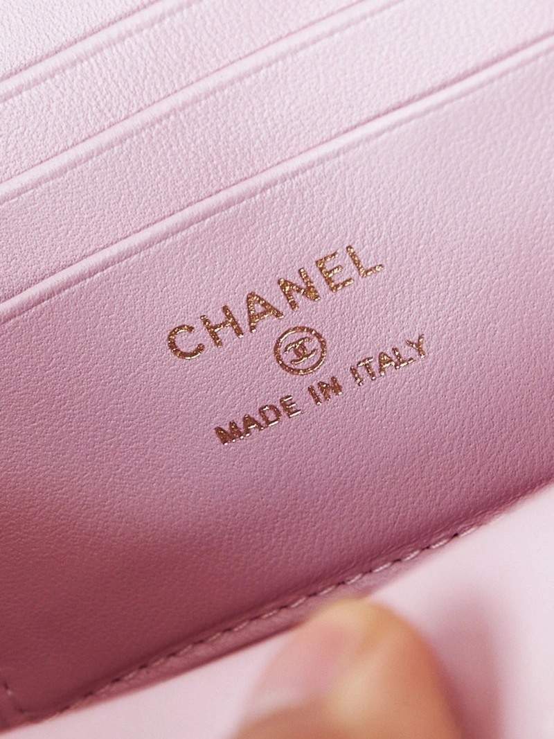 Chanel Cosmetic Bags 4017-0951