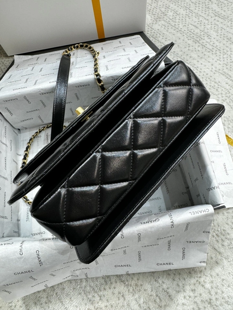 Chanel Satchel Bags 4017-1073