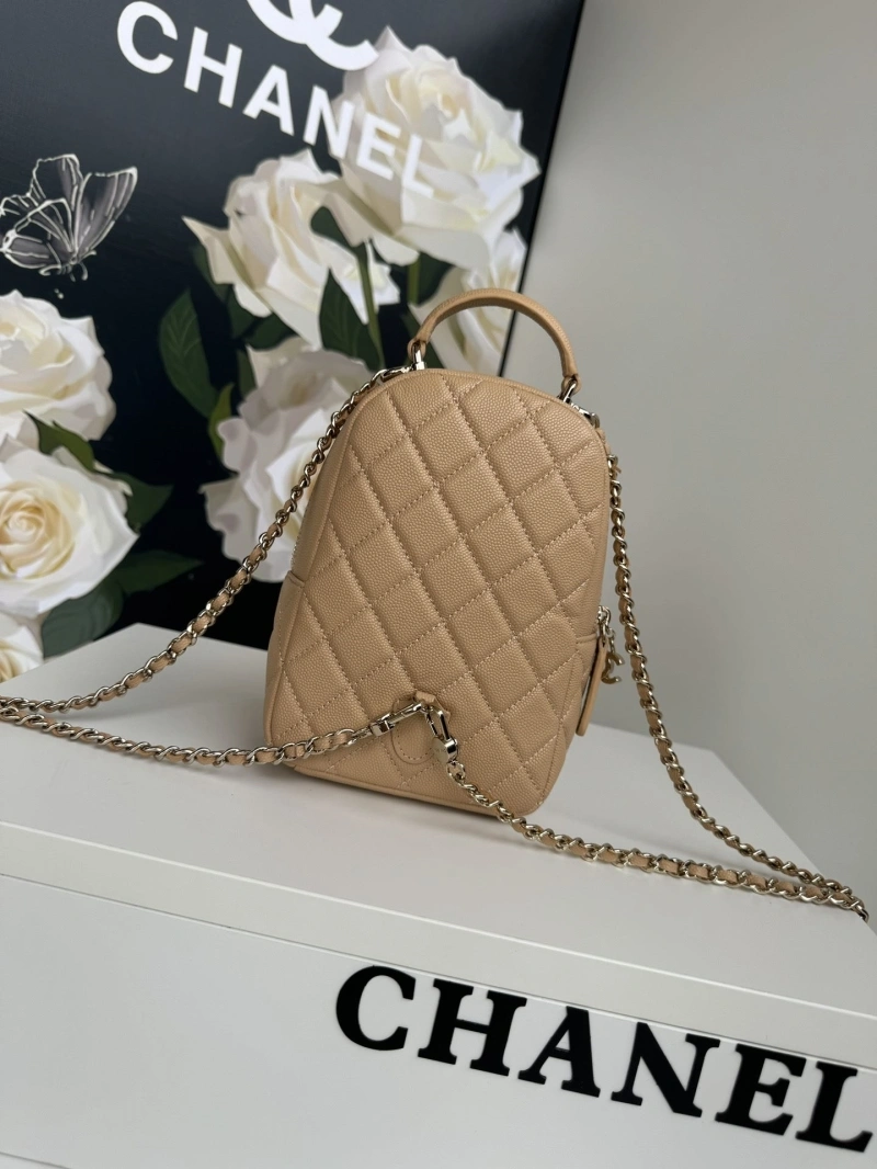 Chanel Satchel Bags 4017-1096