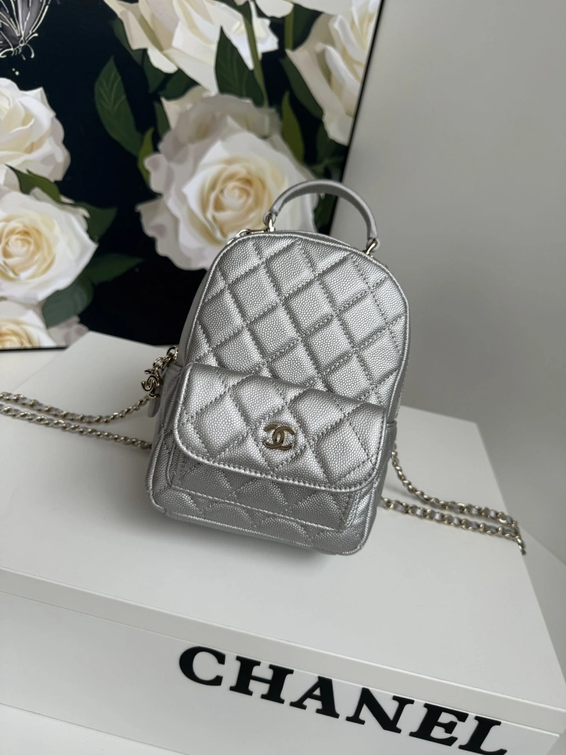 Chanel Satchel Bags 4017-1097