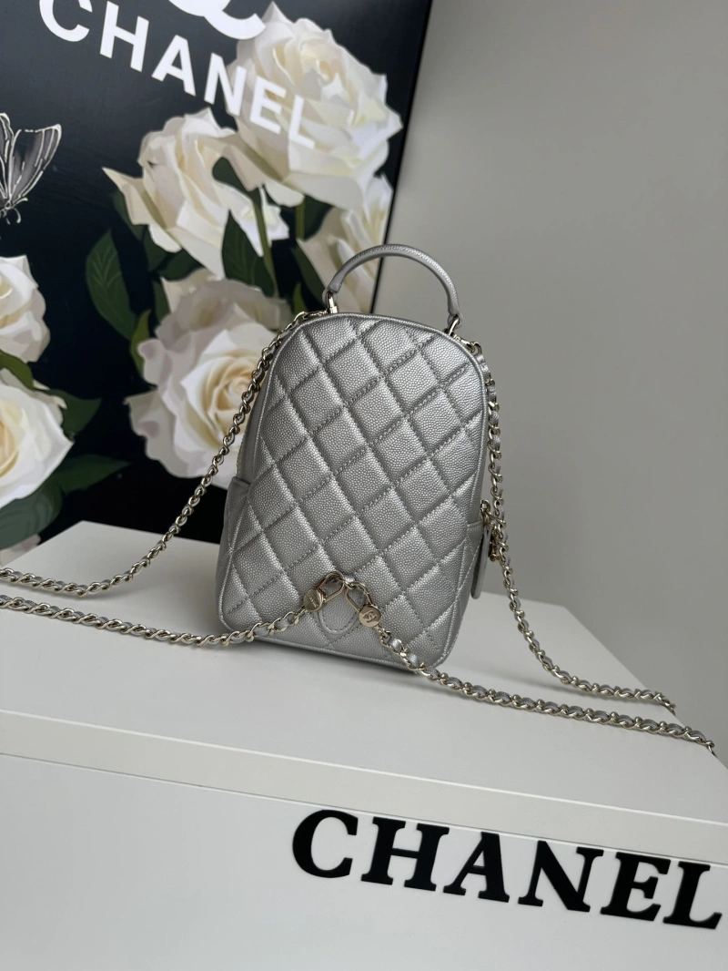 Chanel Satchel Bags 4017-1097