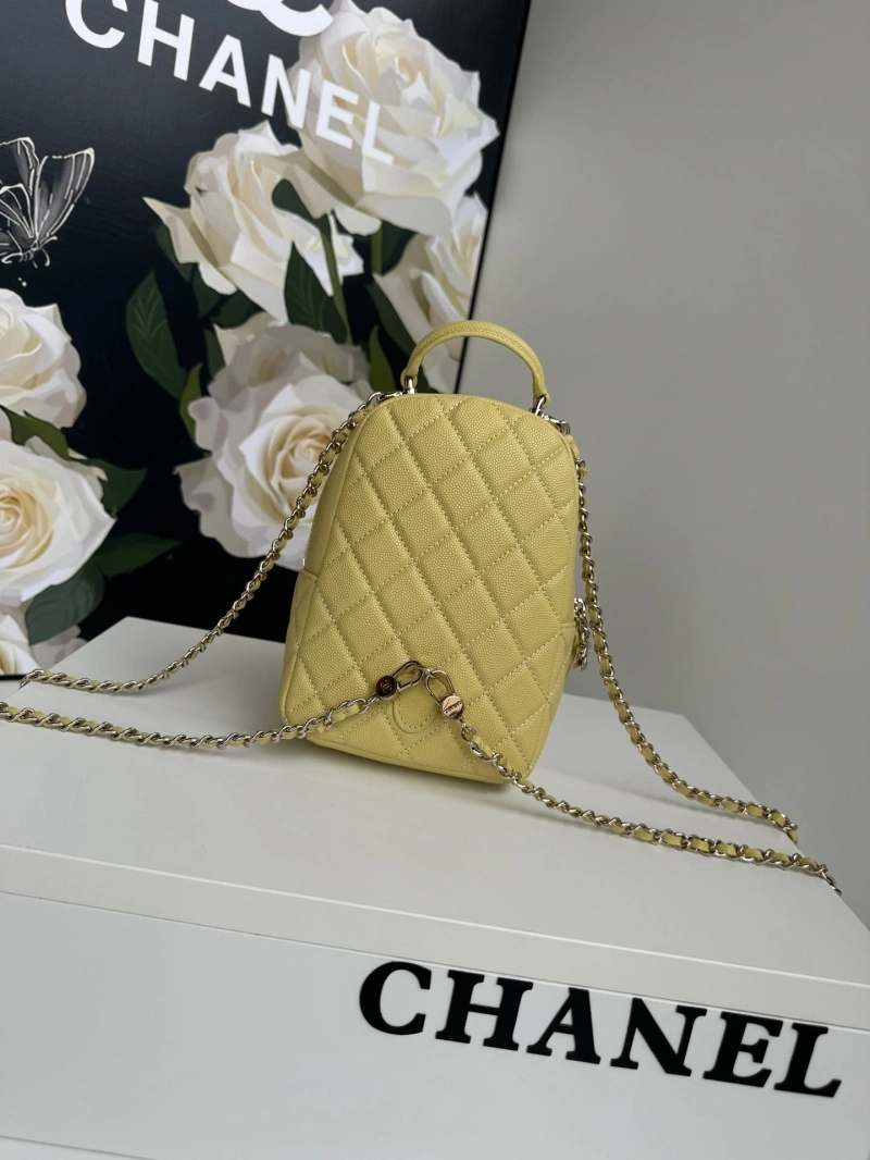 Chanel Satchel Bags 4017-1099