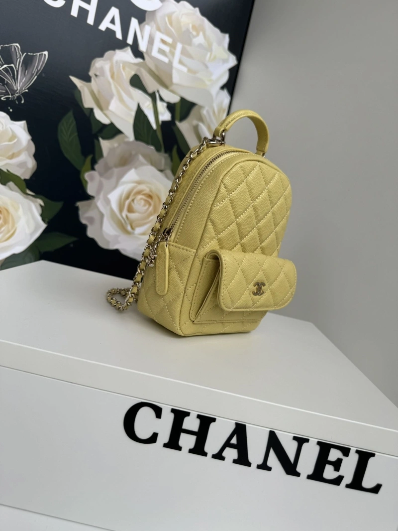 Chanel Satchel Bags 4017-1099