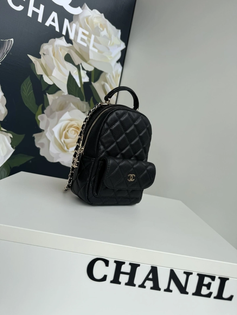 Chanel Satchel Bags 4017-1105