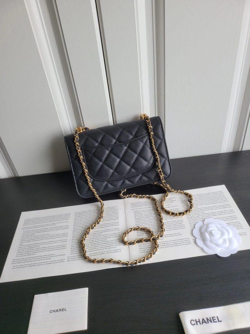 Chanel 19 Bags 4017-1108