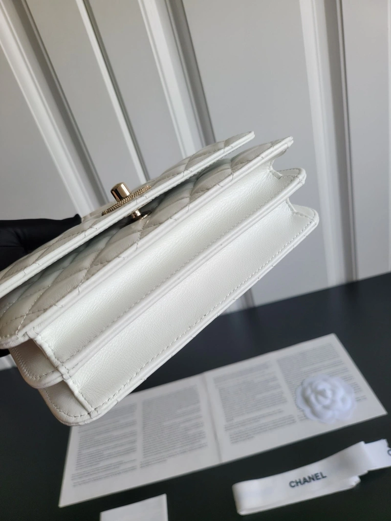 Chanel Top Handle Bags 4017-1166