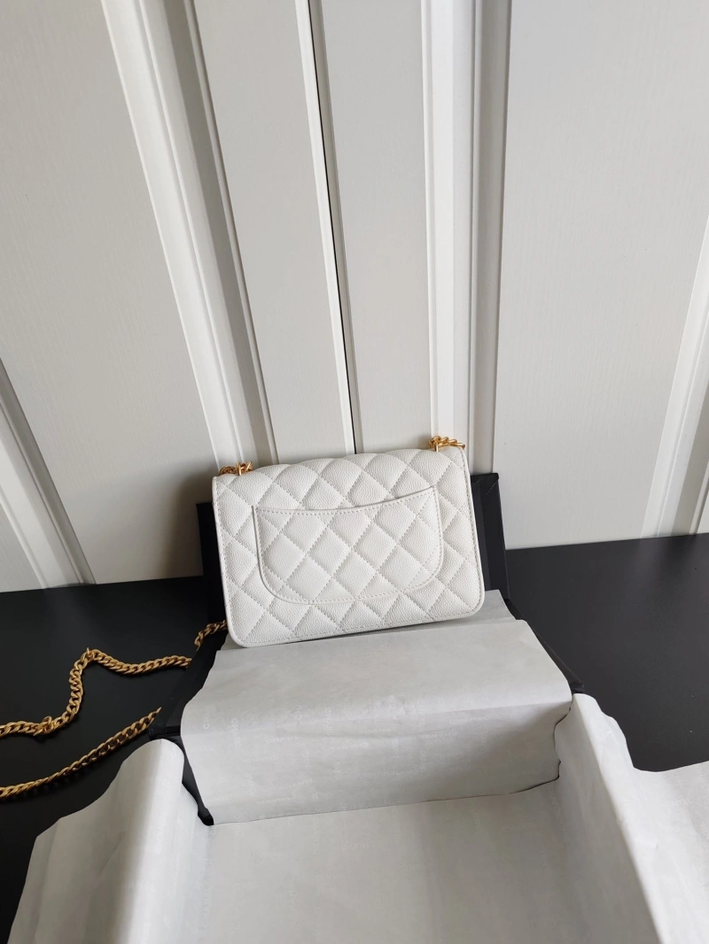 Chanel WOC Bags 4017-1298