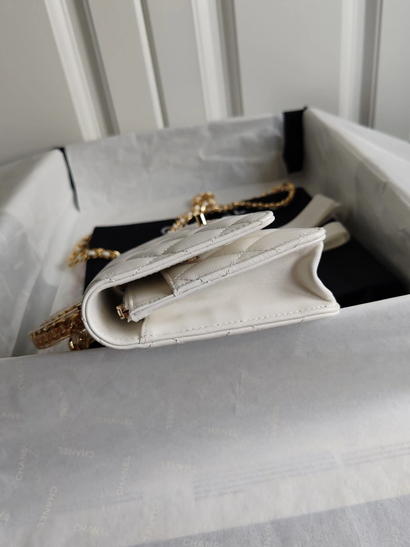 Chanel Cosmetic Bags 4017-1307