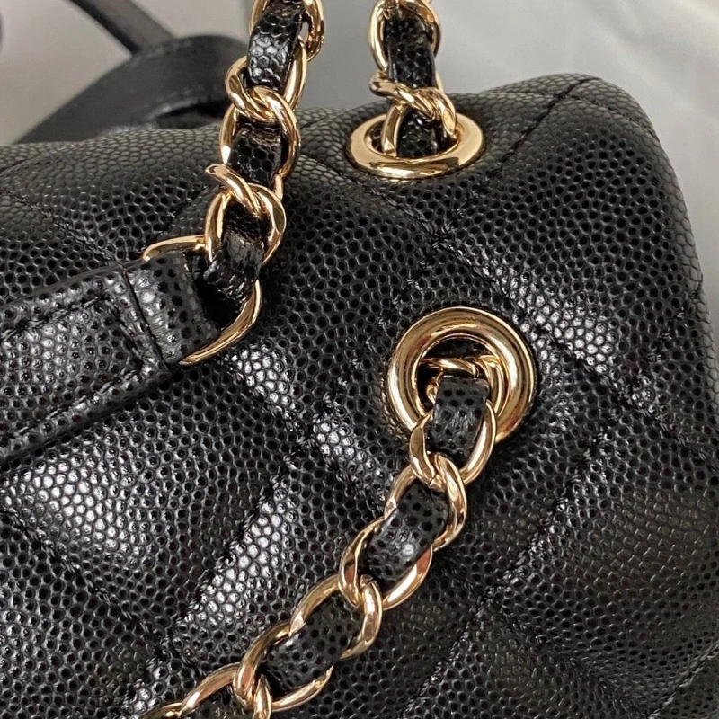 Chanel Backpacks 4017-1408