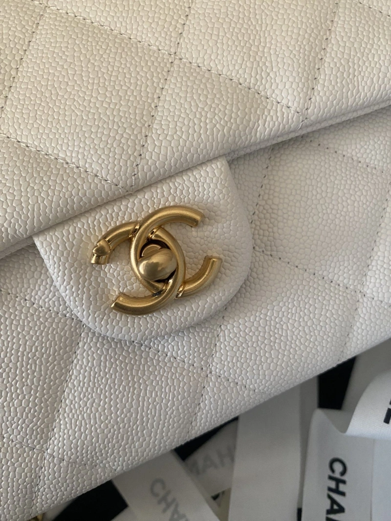 Chanel 19 Bags 4017-1517