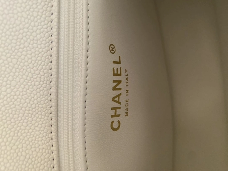 Chanel 19 Bags 4017-1517