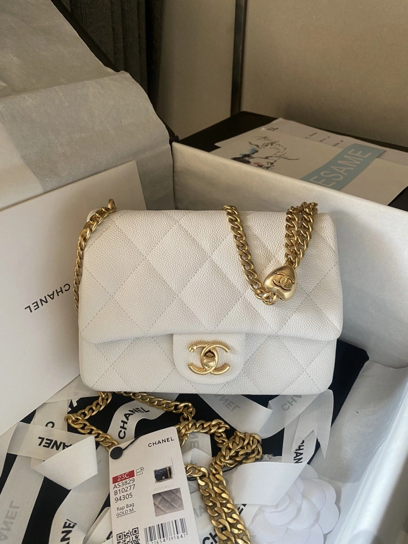 Chanel 19 Bags 4017-1518
