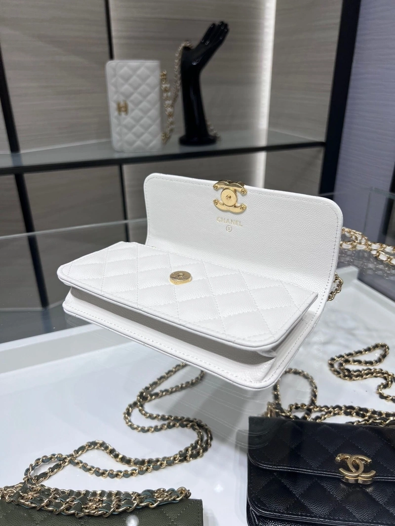 Chanel 19 Bags 4017-1550