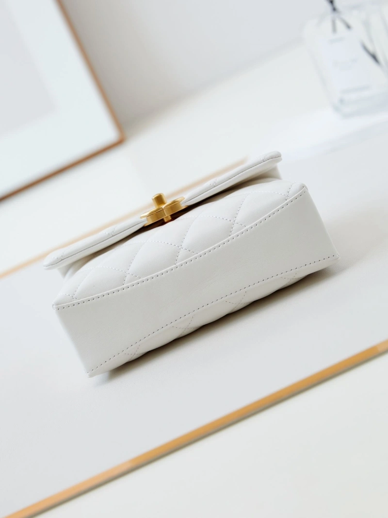 Chanel WOC Bags 4017-1565