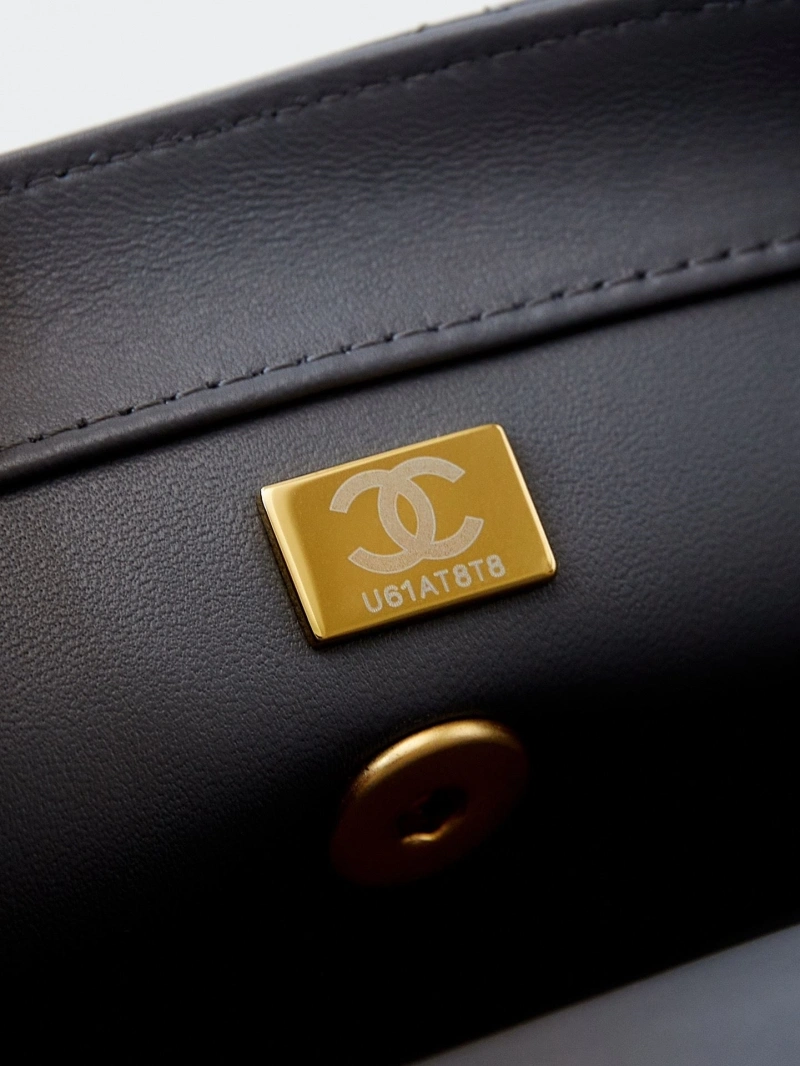 Chanel WOC Bags 4017-1568