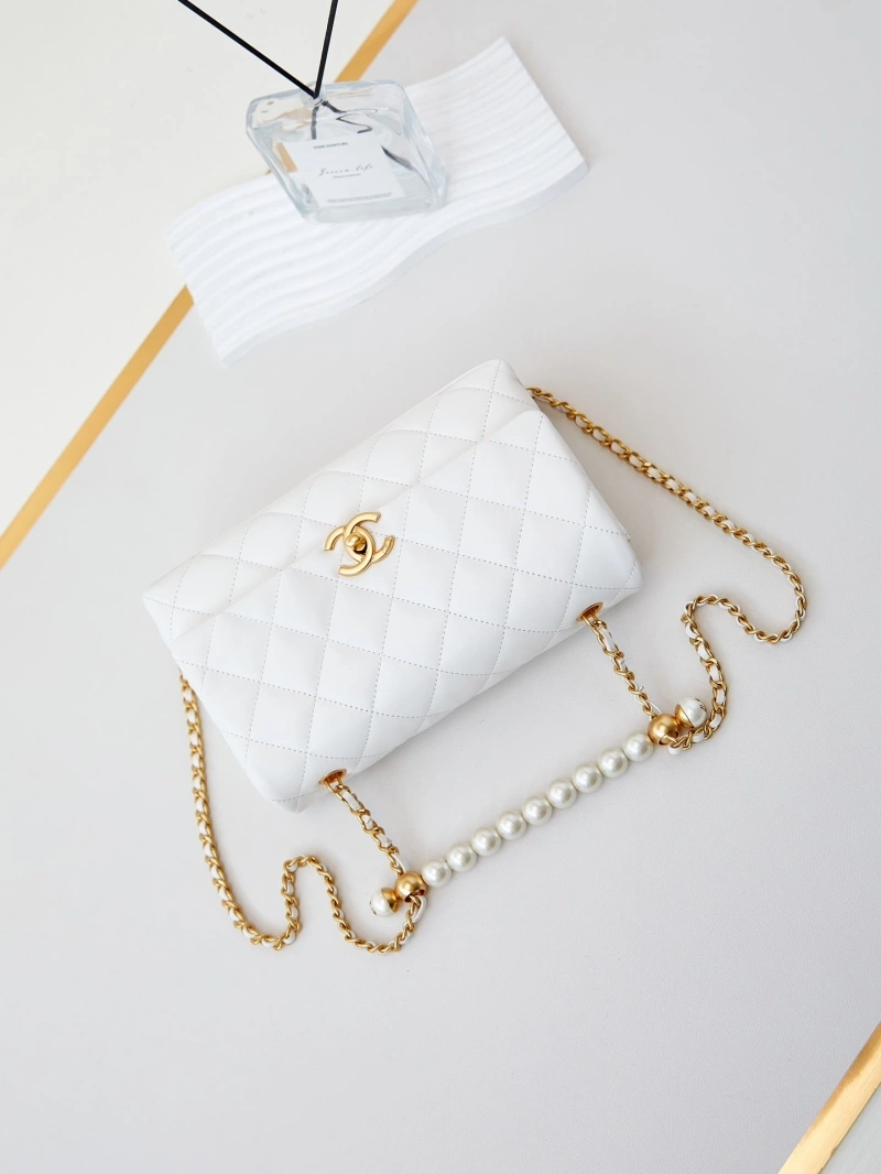 Chanel WOC Bags 4017-1569