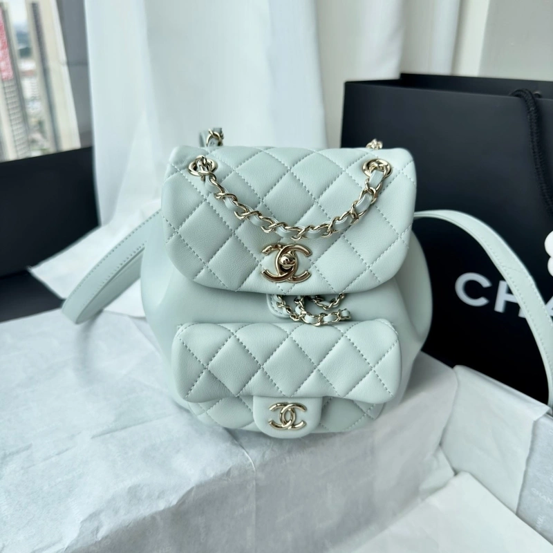 Chanel Backpacks 4017-1617