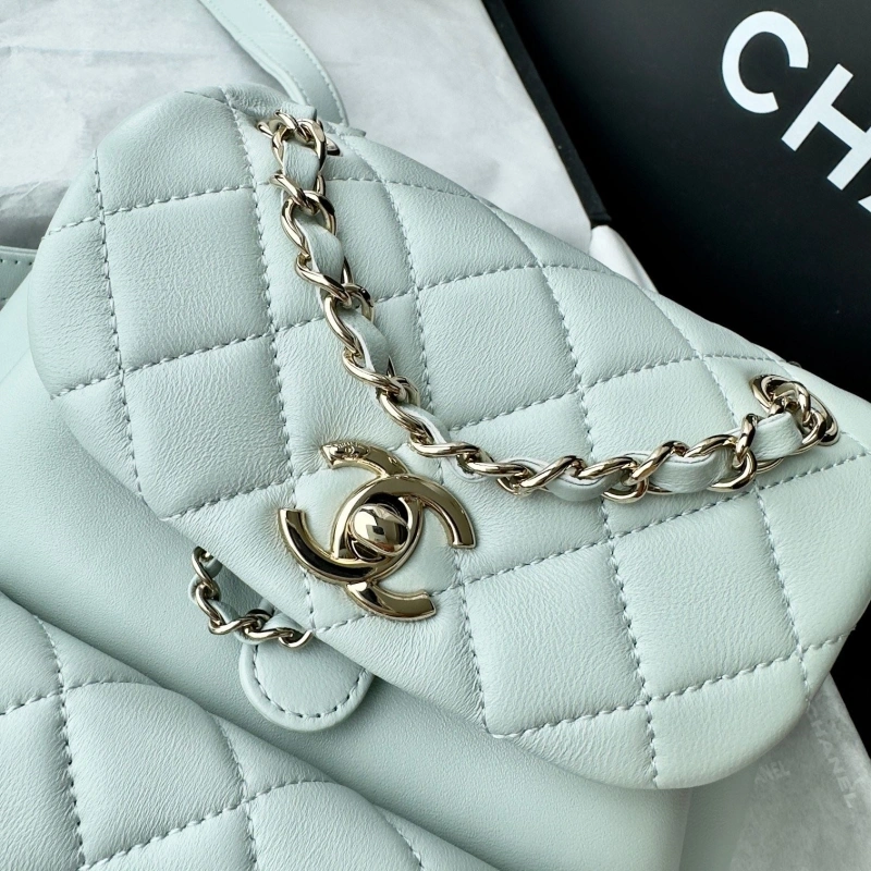 Chanel Backpacks 4017-1617