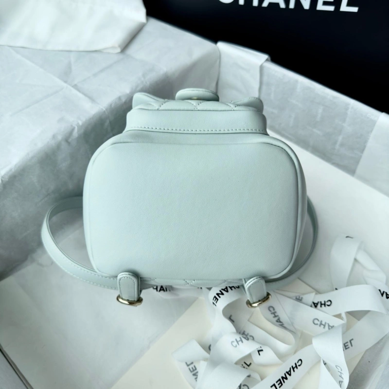 Chanel Backpacks 4017-1617