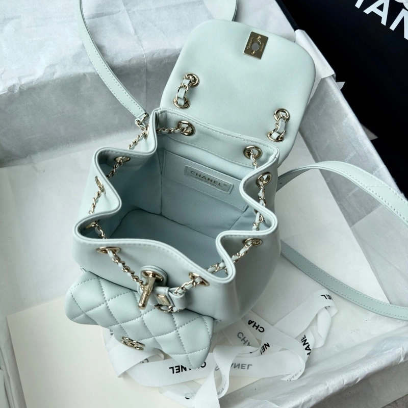 Chanel Backpacks 4017-1617