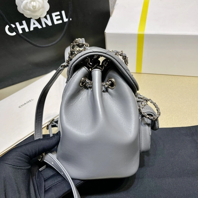 Chanel Backpacks 4017-1620