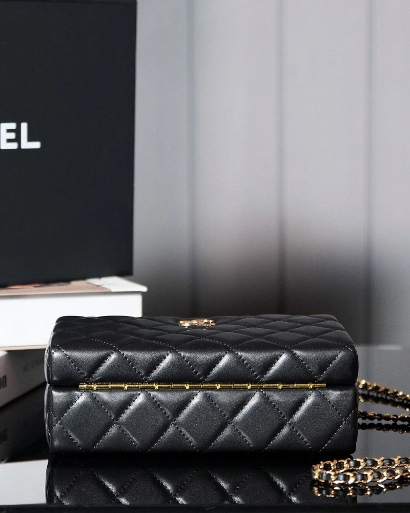 Chanel Cosmetic Bags 4017-1651