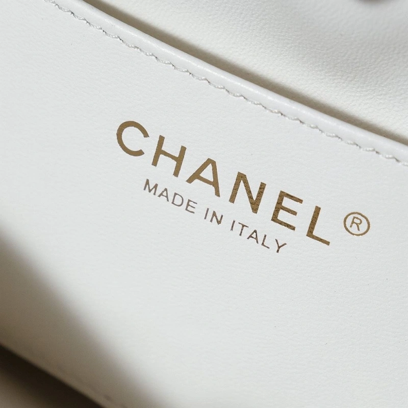 Chanel Satchel Bags 4017-1653