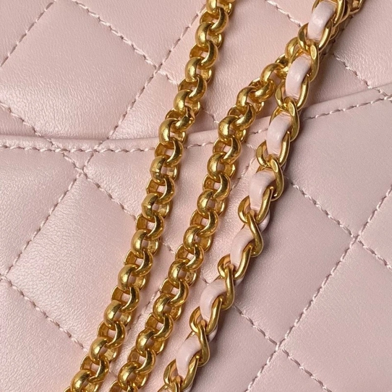 Chanel 19 Bags 4017-1686