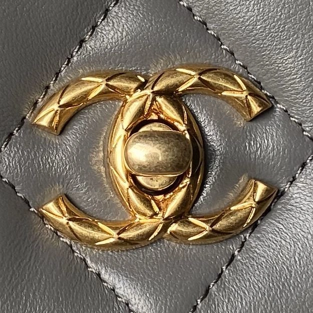 Chanel 19 Bags 4017-1689