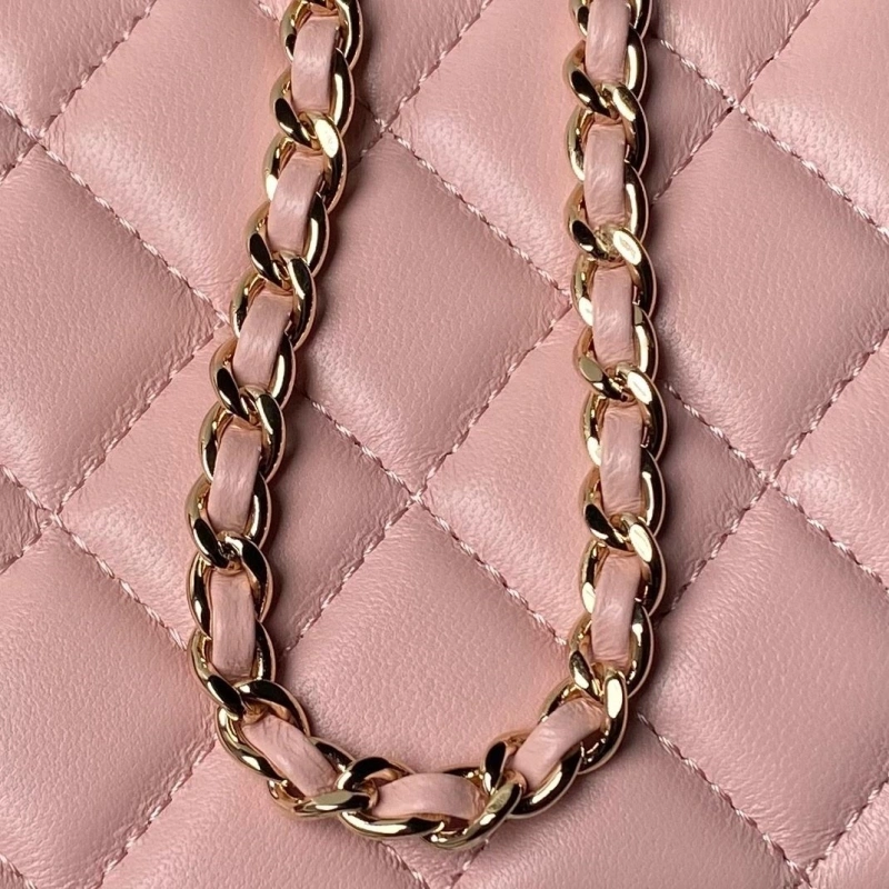 Chanel Cosmetic Bags 4017-1704