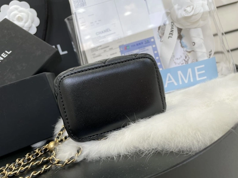 Chanel Cosmetic Bags 4017-1717