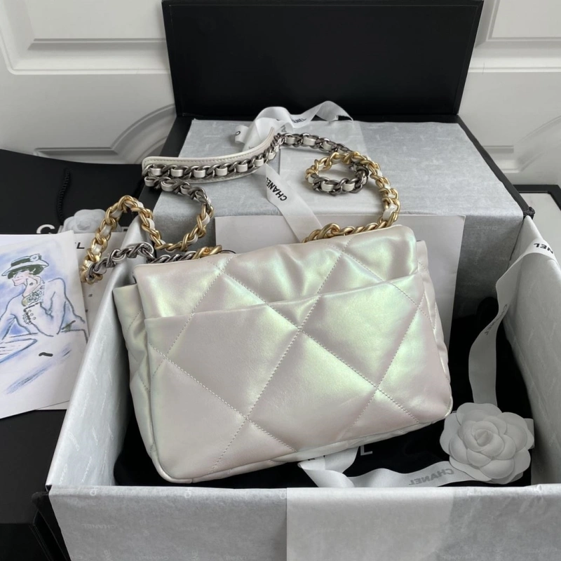 Chanel 19 Bags 4017-1893