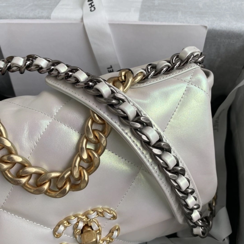 Chanel 19 Bags 4017-1893