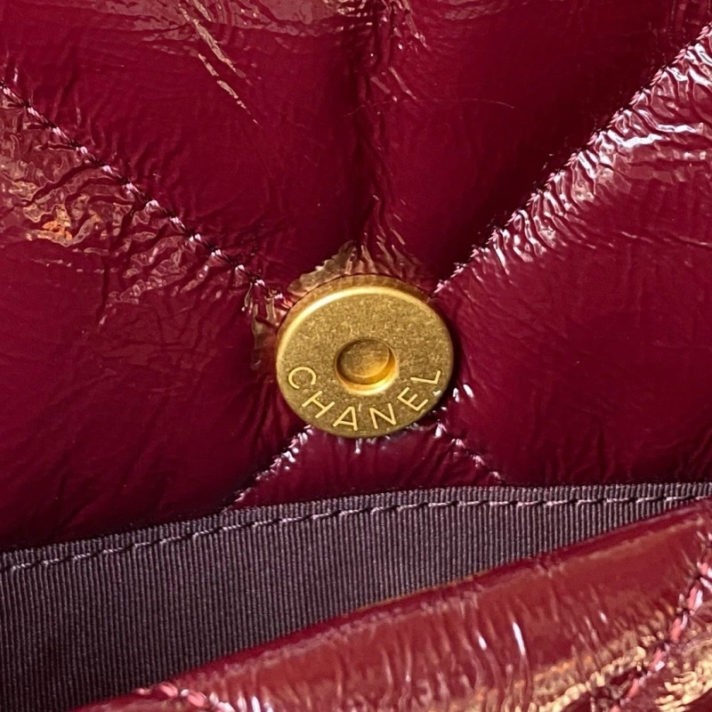 Chanel 19 Bags 4017-1894