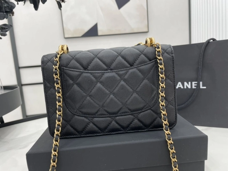 Chanel 19 Bags 4017-1963