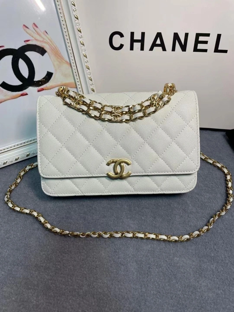 Chanel 19 Bags 4017-1971
