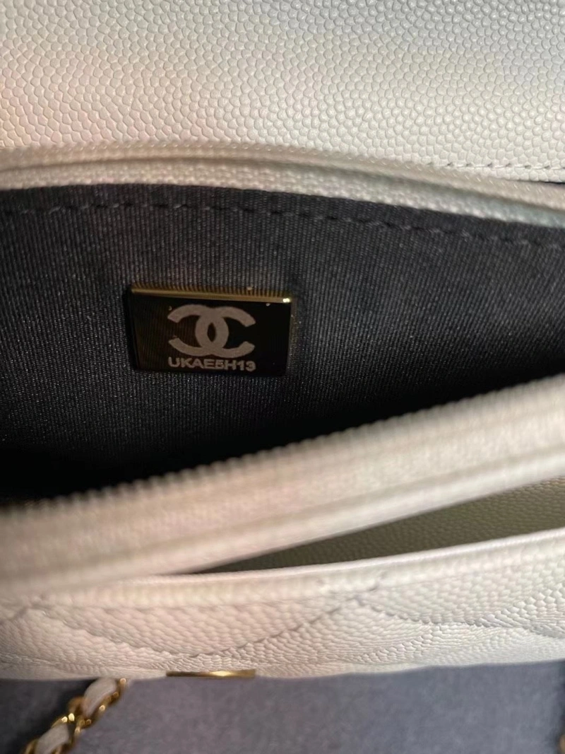 Chanel 19 Bags 4017-1971