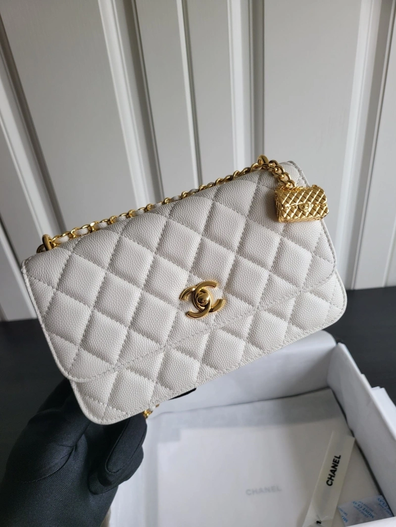 Chanel WOC Bags 4017-2040