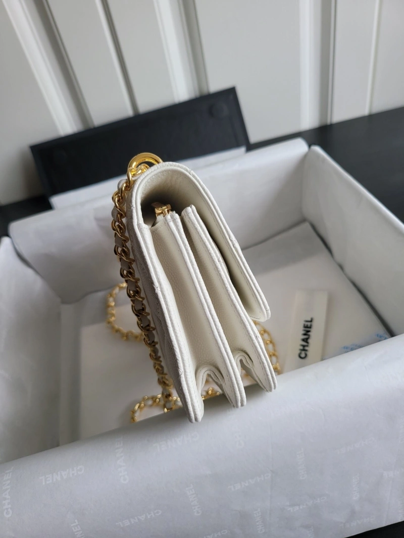 Chanel WOC Bags 4017-2040